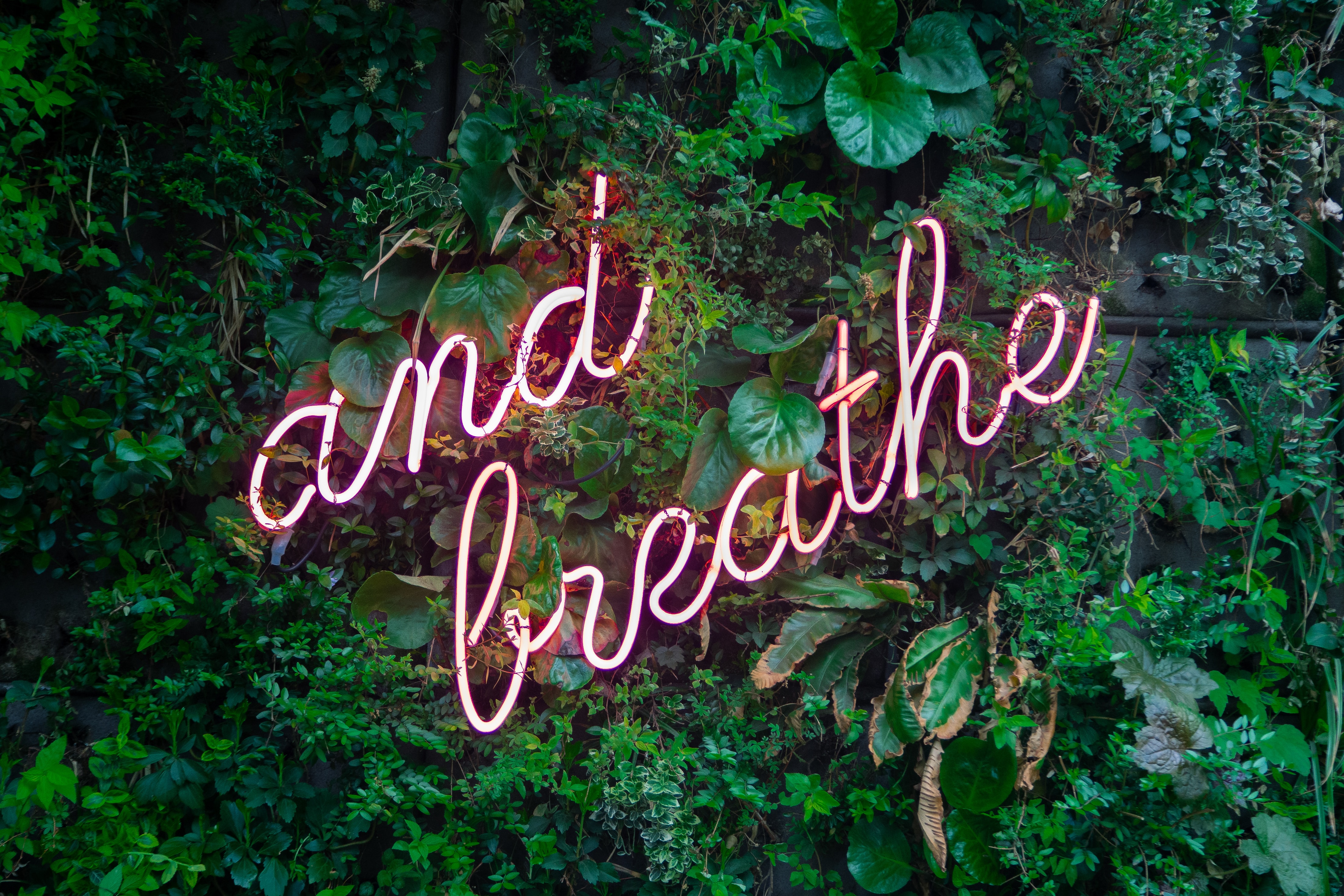 Image of neon lights of the words 'and breathe' on a living plant wall