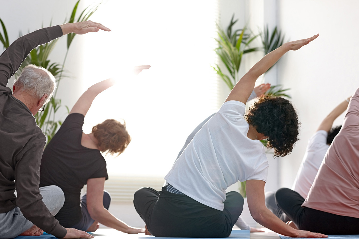 Group doing yoga in sunlit room